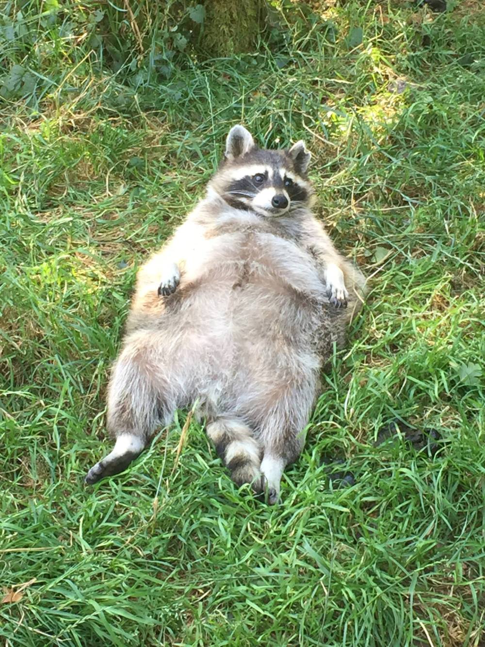 14205920_1255876724425491_3083112638398013517_o