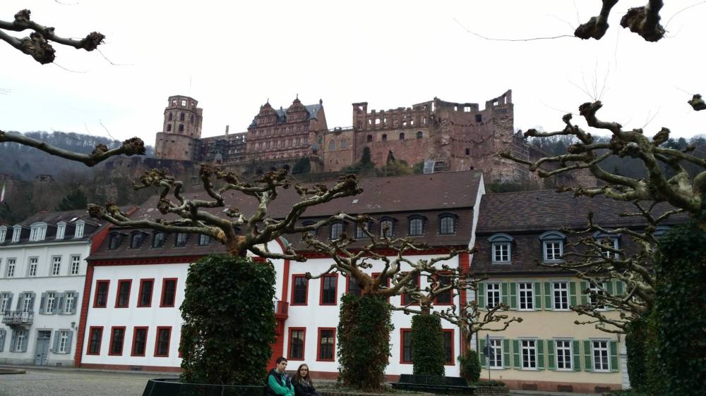 1061283_736255183054317_1395498660_o