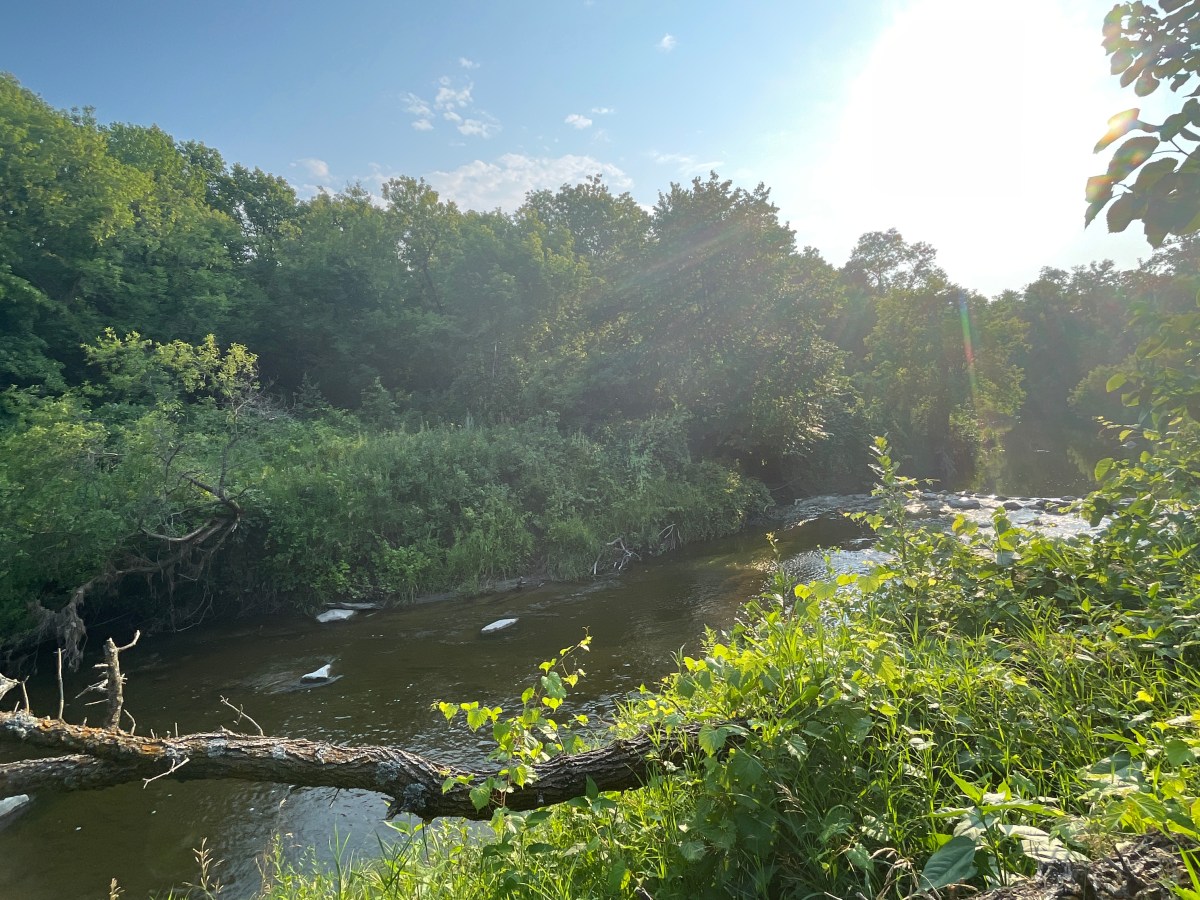 Family Fun at Turtle River State Park: A Delightful Adventure for Young Kids
